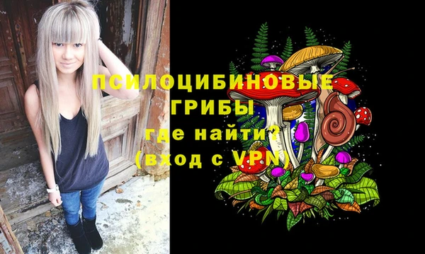 a pvp Михайловск