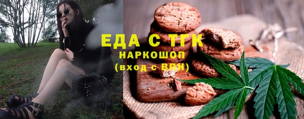 СК Новодвинск