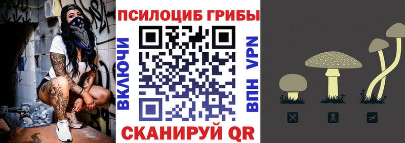 Псилоцибиновые грибы мицелий  Нестеровская 